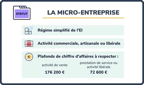 Micro Entrepreneur Definition: Understanding the Basics & Beyond.